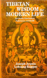 Tibetan Wisdom for Modern Life: Spirituality, Relationships, Performance, and Health (paperback) - Image 2